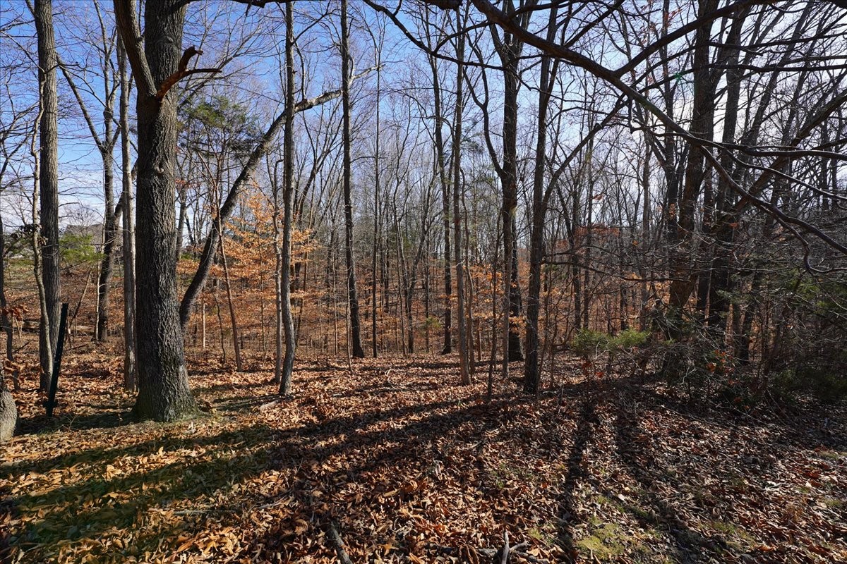 7228 McCormick Lane Fairview, TN 37062 - Photo 20 of 24