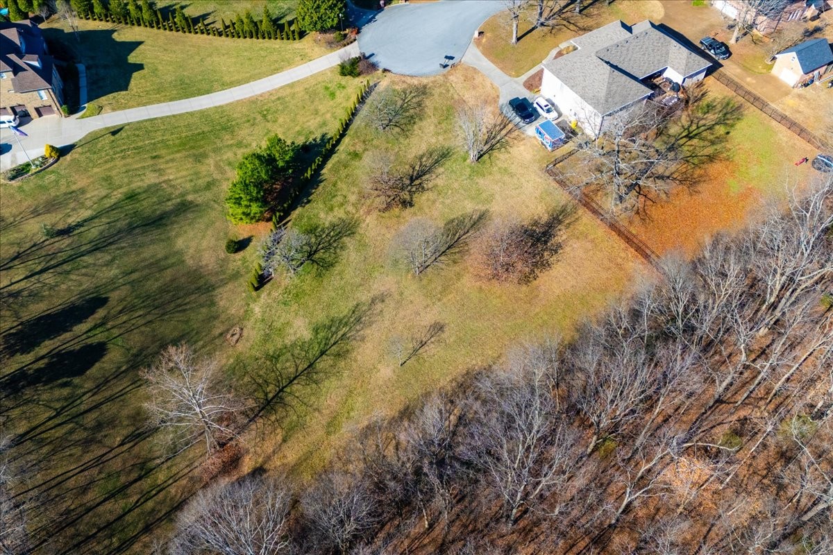 7228 McCormick Lane Fairview, TN 37062 - Photo 22 of 24