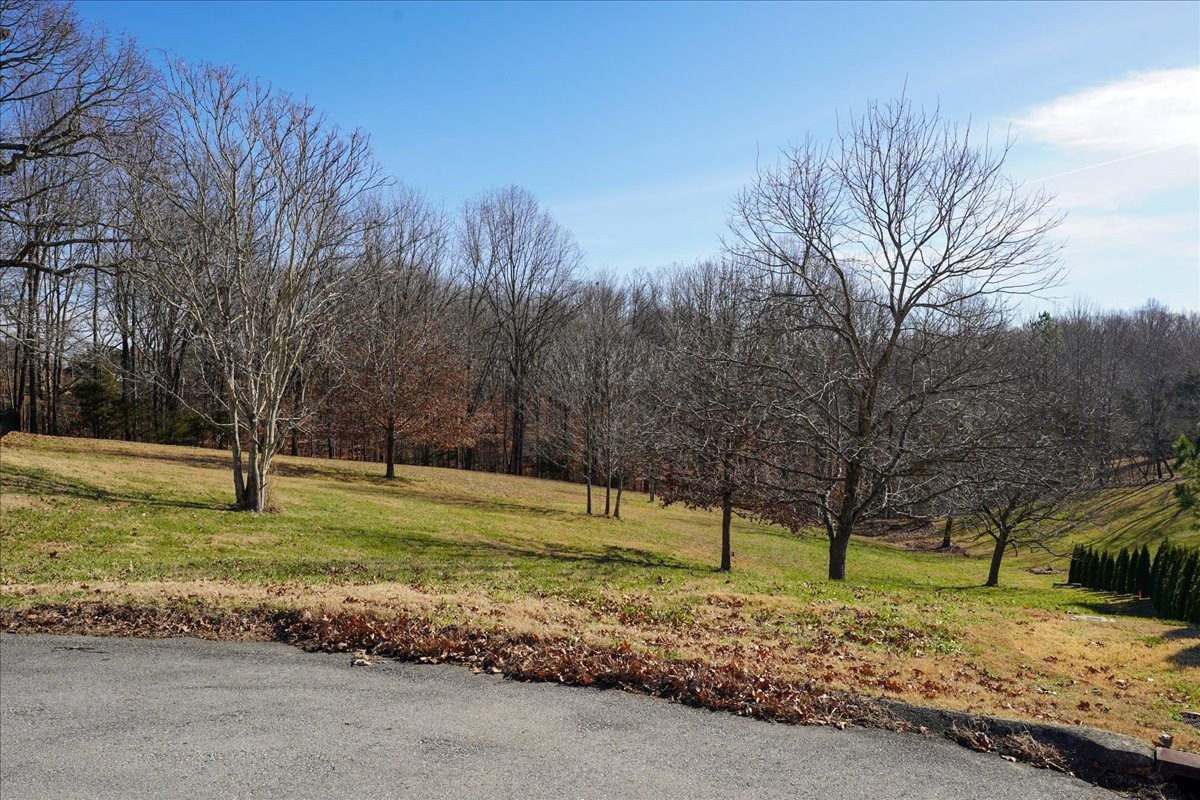 7228 McCormick Lane Fairview, TN 37062 - Photo 4 of 24