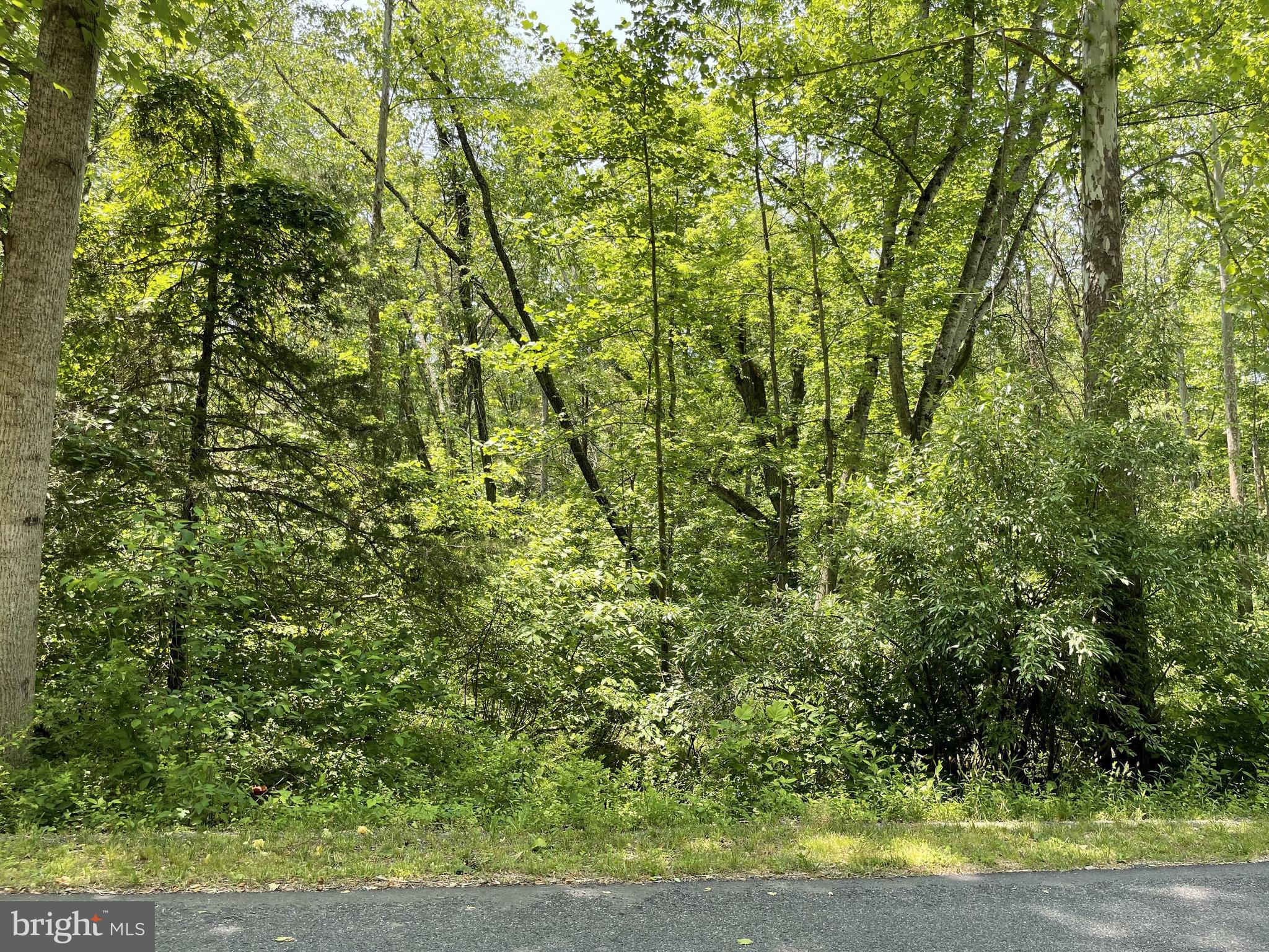 Lot 27 - Spring St, Unionville