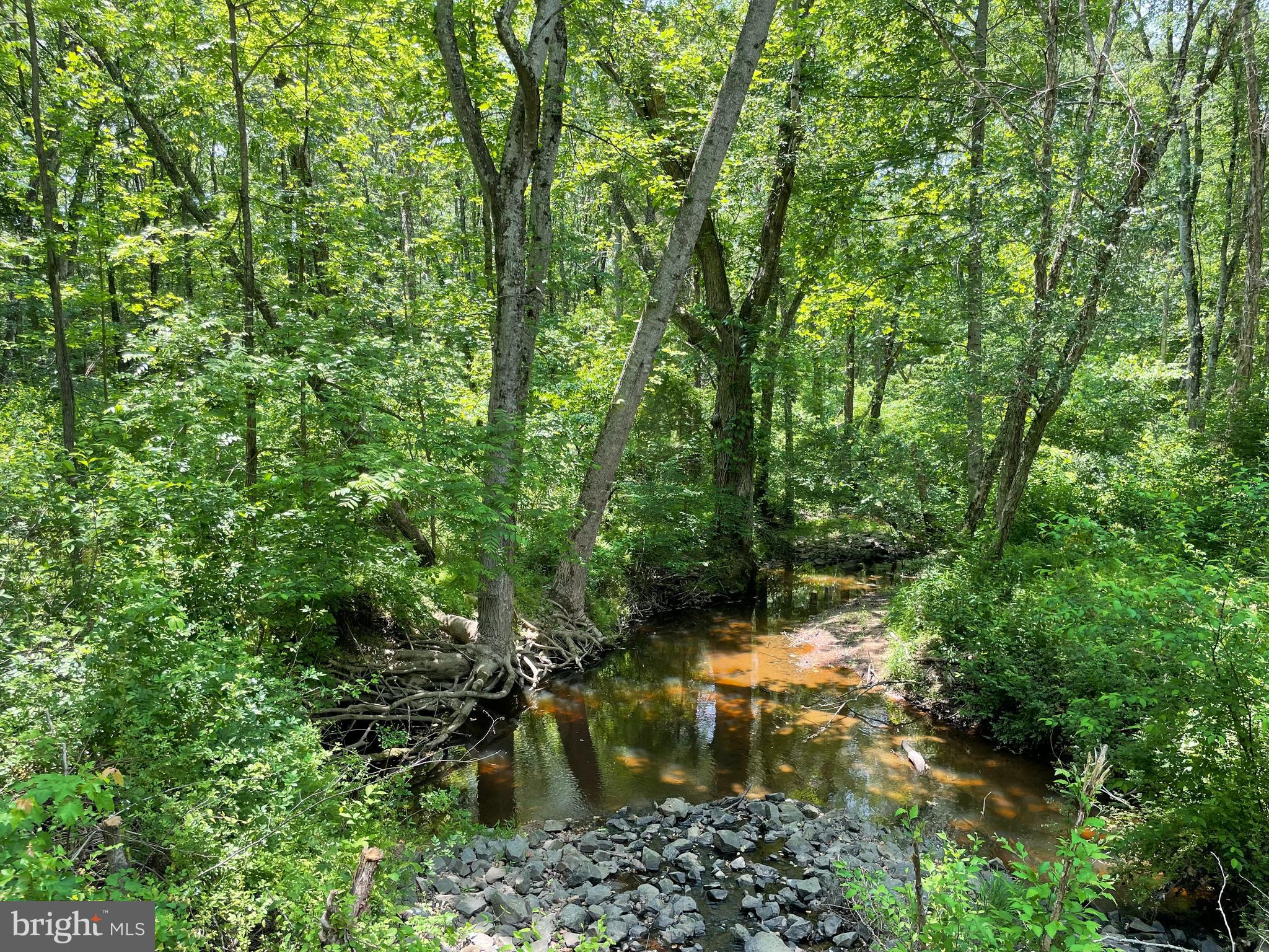 0 Spring Street Unionville, VA 22567 - Photo 3 of 6 Closeup of portion of creek
