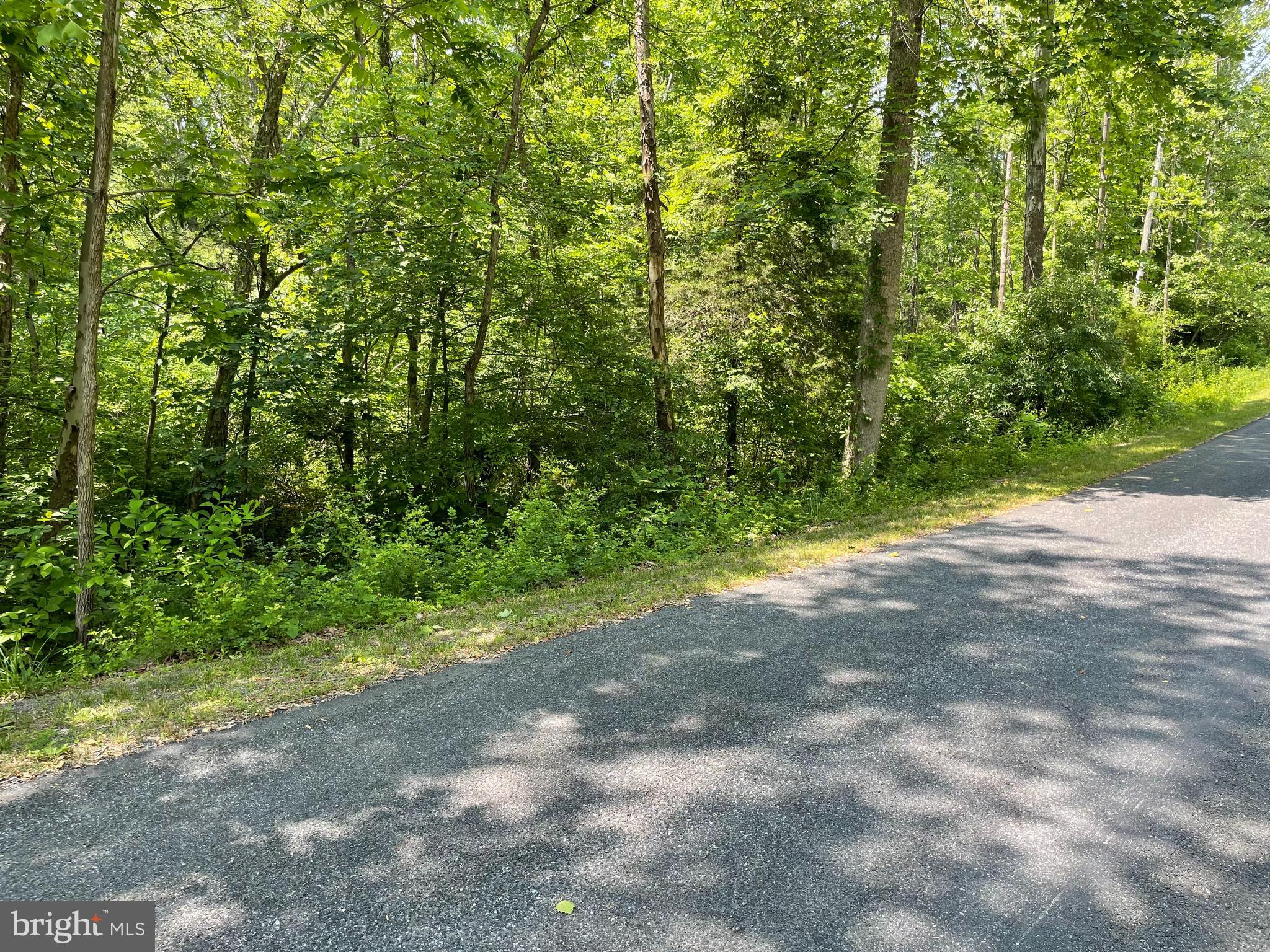 0 Spring Street Unionville, VA 22567 - Photo 5 of 6 Right side view of Lot