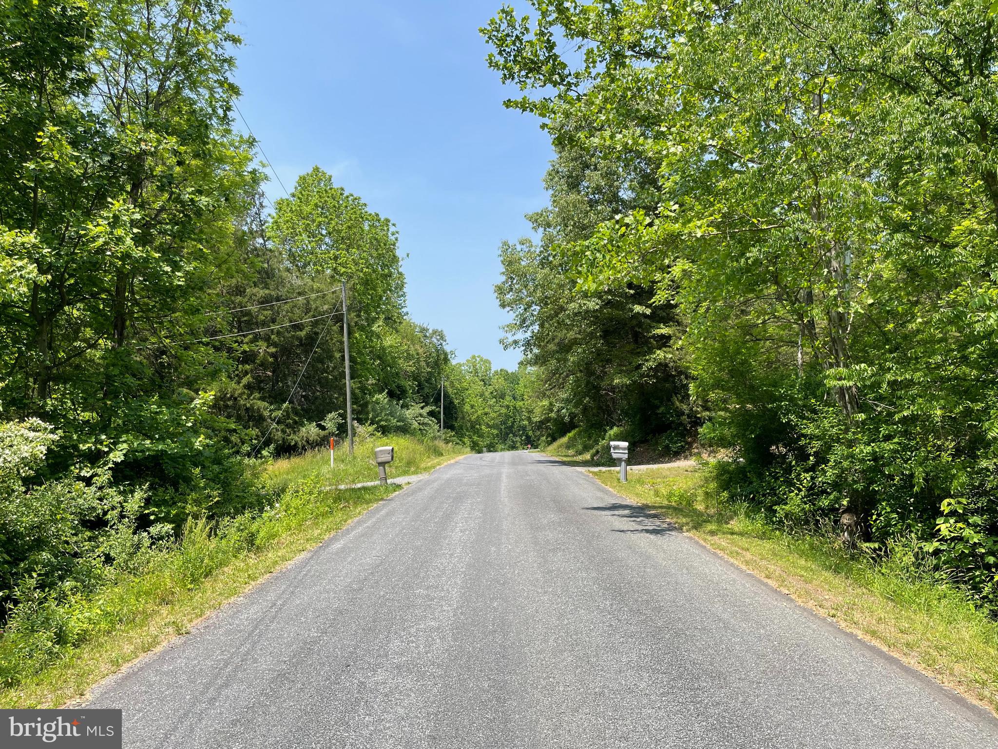 0 Spring Street Unionville, VA 22567 - Photo 6 of 6 View of Top of Road