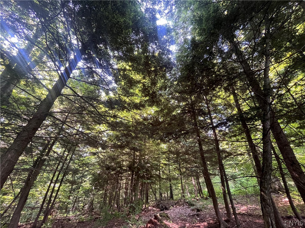 Center Road Lacona, NY 13083 - Photo 28 of 38