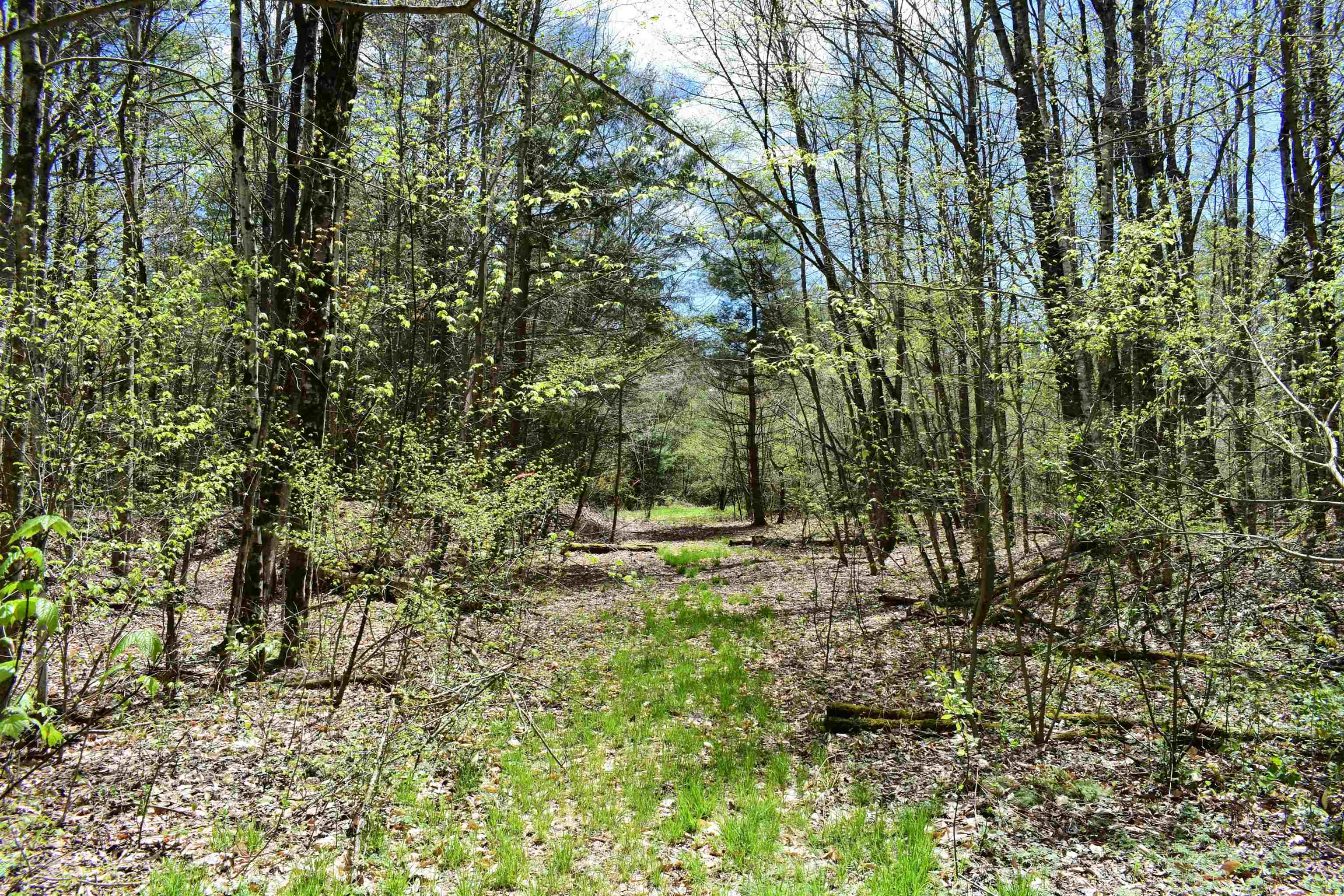 1850 Stock Farm Road, Unit 68 Randolph, VT 05060 - Photo 21 of 25