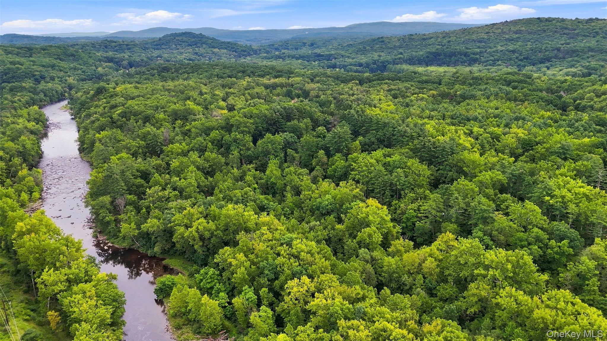 Bruceville Road High Falls, NY 12440 - Photo 13 of 24 Gallery Image 13