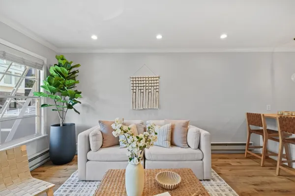 a living room with furniture and a potted plant