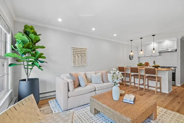 a living room with furniture potted plant and a lamp