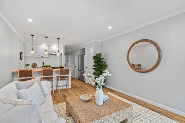 a living room with furniture and a potted plant