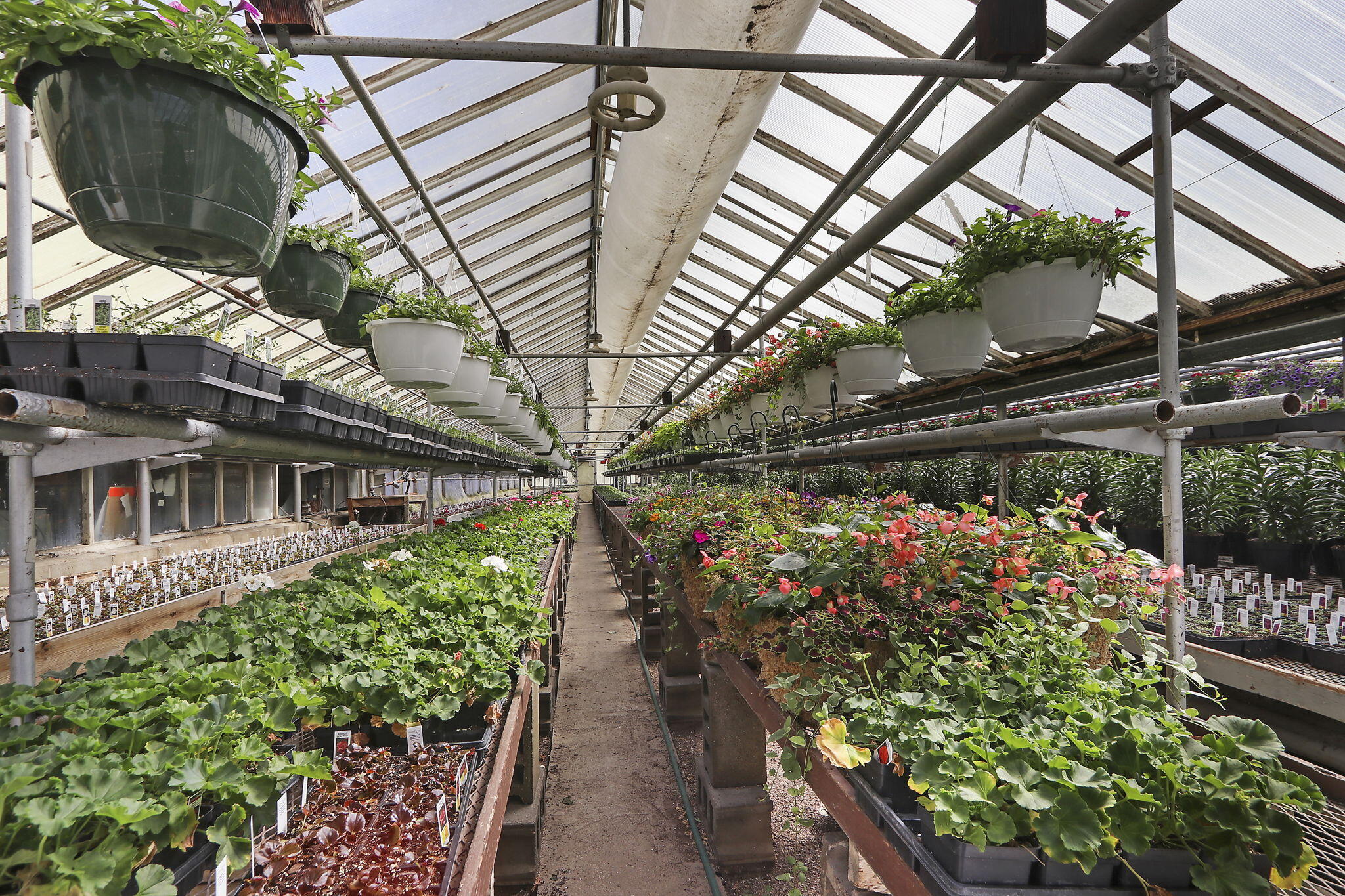 9140 Cooper Road Pleasant Prairie, WI 53158 - Photo 26 of 39 Greenhouse 2