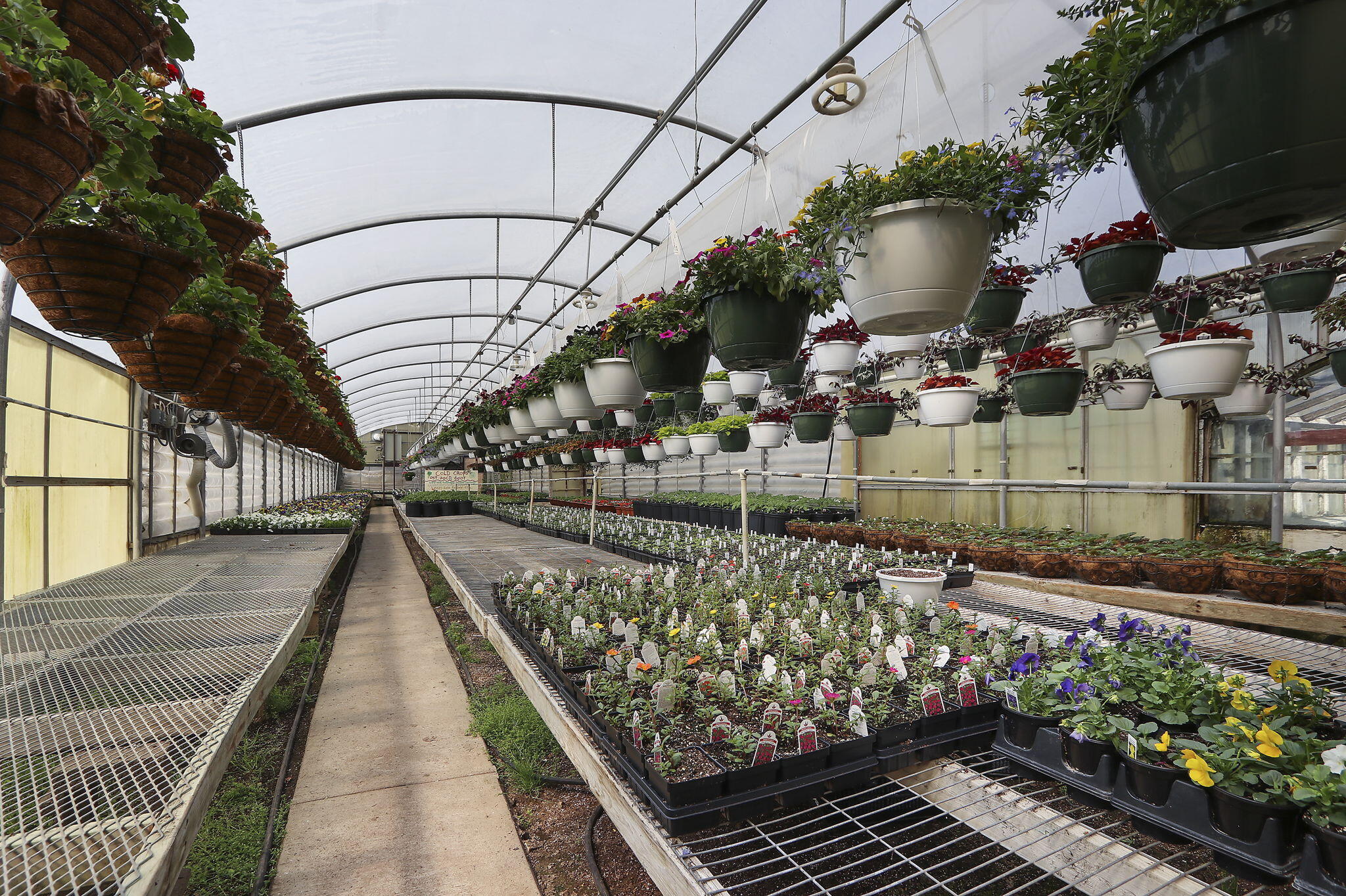 9140 Cooper Road Pleasant Prairie, WI 53158 - Photo 28 of 39 Greenhouse 4