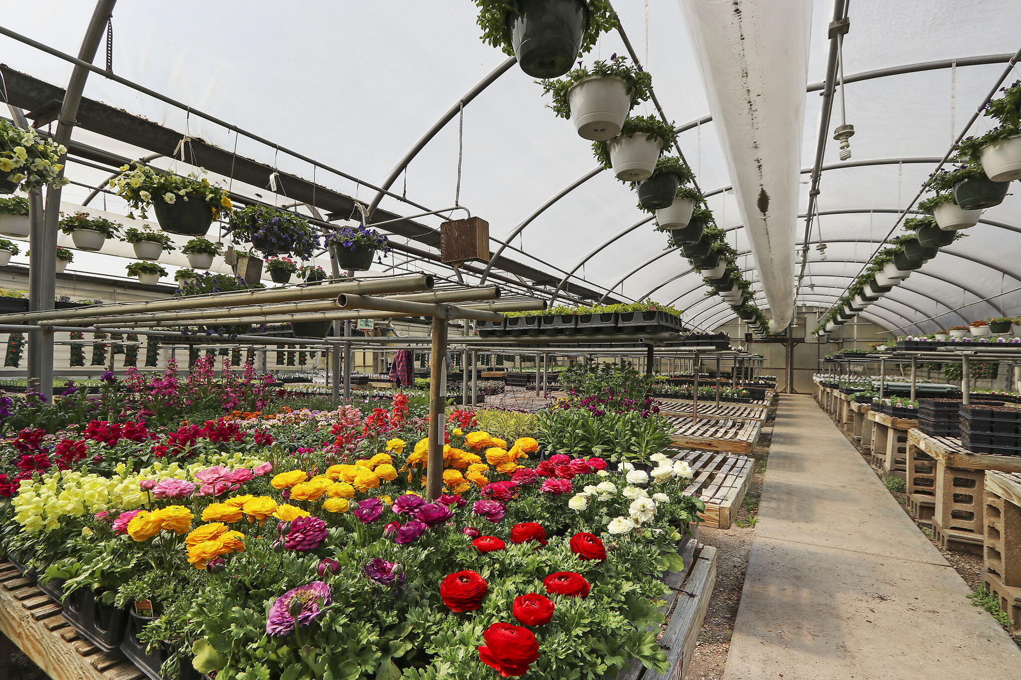 9140 Cooper Road Pleasant Prairie, WI 53158 - Photo 29 of 39 Greenhouse 5