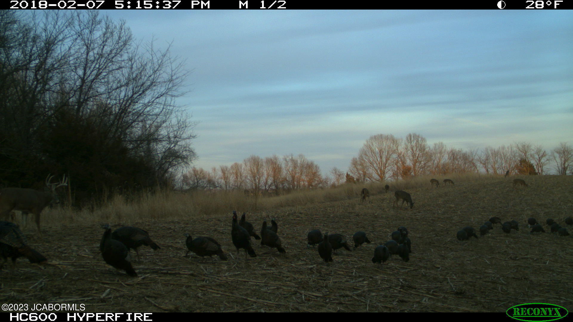 Tbd Big Lick Road Boonville, MO 65233 - Photo 24 of 59
