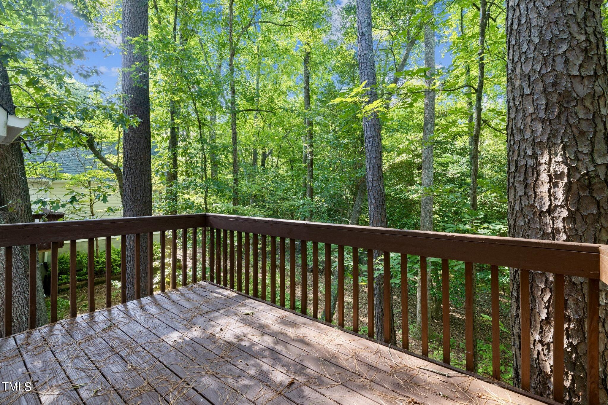 4099 Blackard Pond Road Raleigh, NC 27604 - Photo 86 of 94 Deck 3