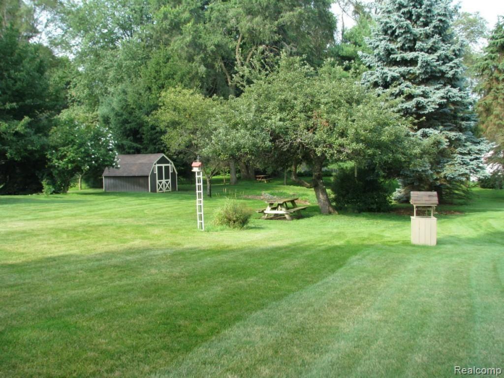 9334 Hilton Road Brighton, MI 48114 - Photo 9 of 34 View from mid yard to east boundary corner and shed