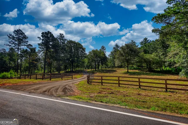 a view of a yard with large trees