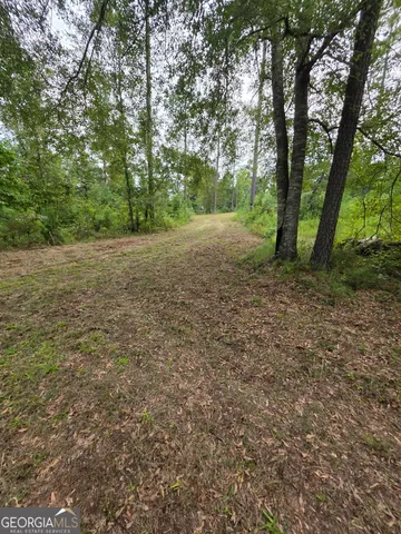 a view of a yard with a tree