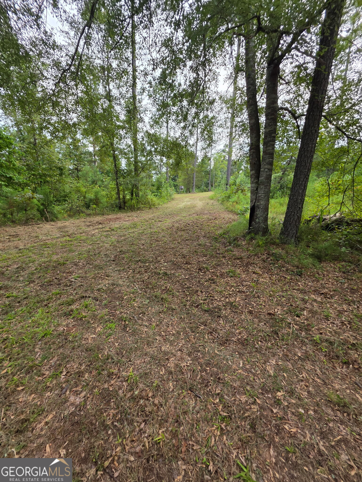 940 Newton Factory Bridge Road Covington, GA 30014 - Photo 11 of 58 a view of a yard with a tree