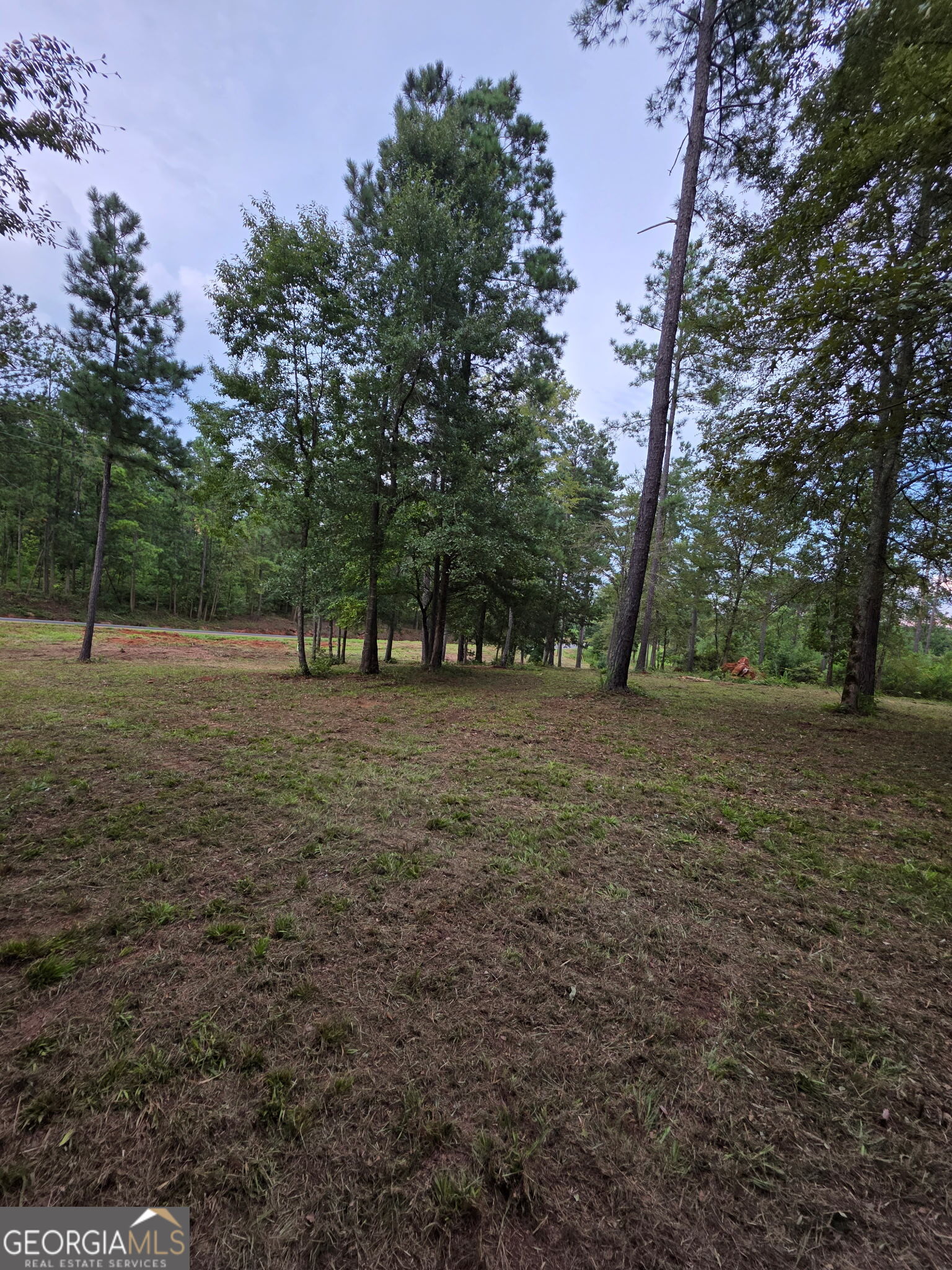 940 Newton Factory Bridge Road Covington, GA 30014 - Photo 12 of 58 a view of outdoor space with trees