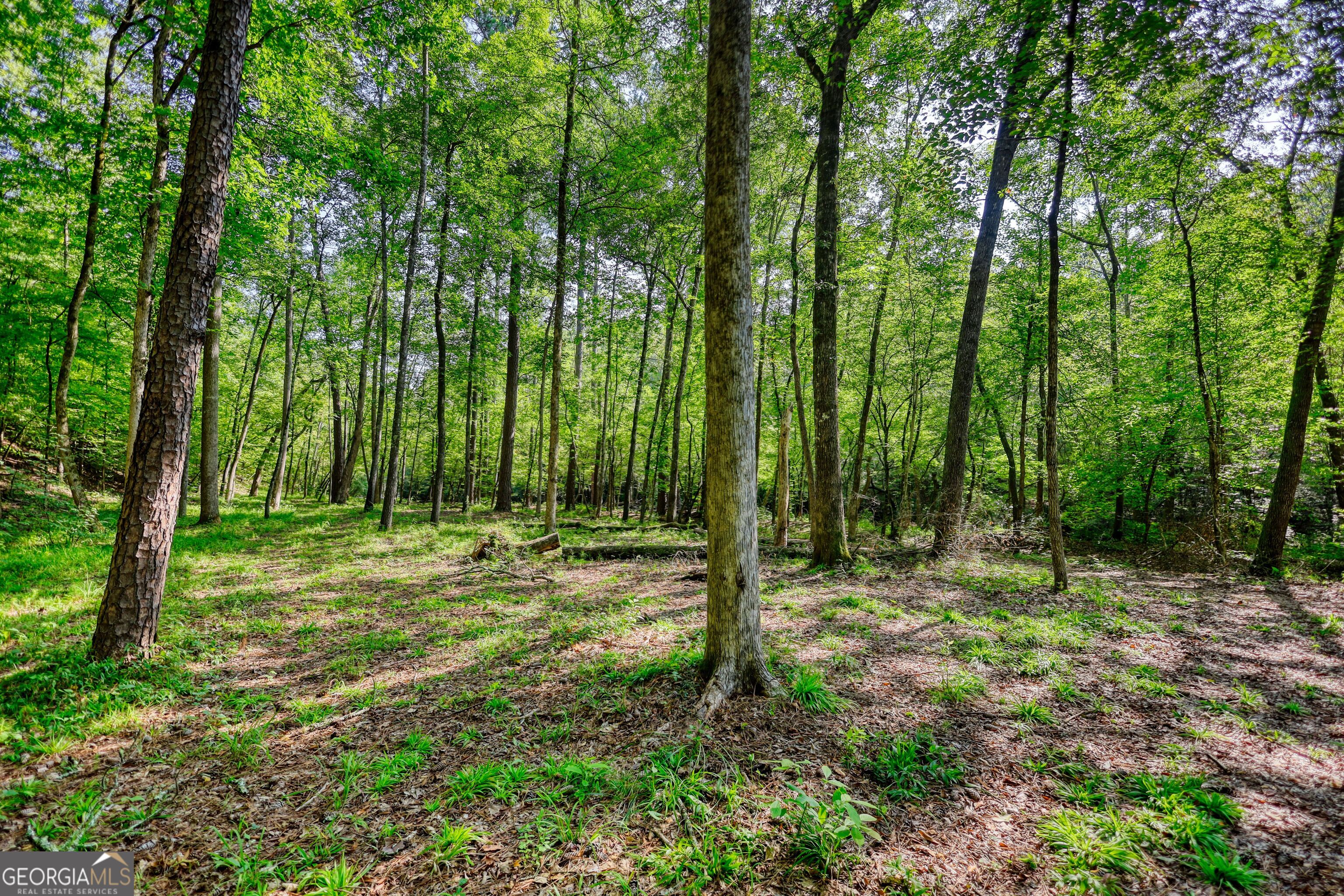 940 Newton Factory Bridge Road Covington, GA 30014 - Photo 13 of 58 a view of outdoor space with green space and garden view