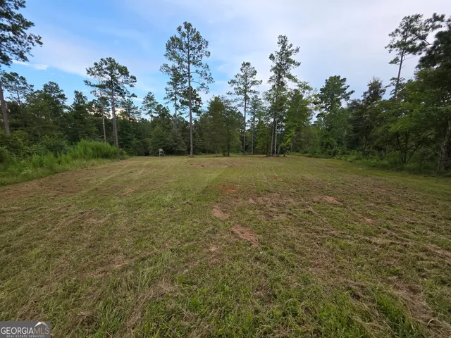 a view of a field with trees in the background