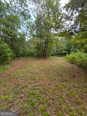 a view of a field with trees in the background