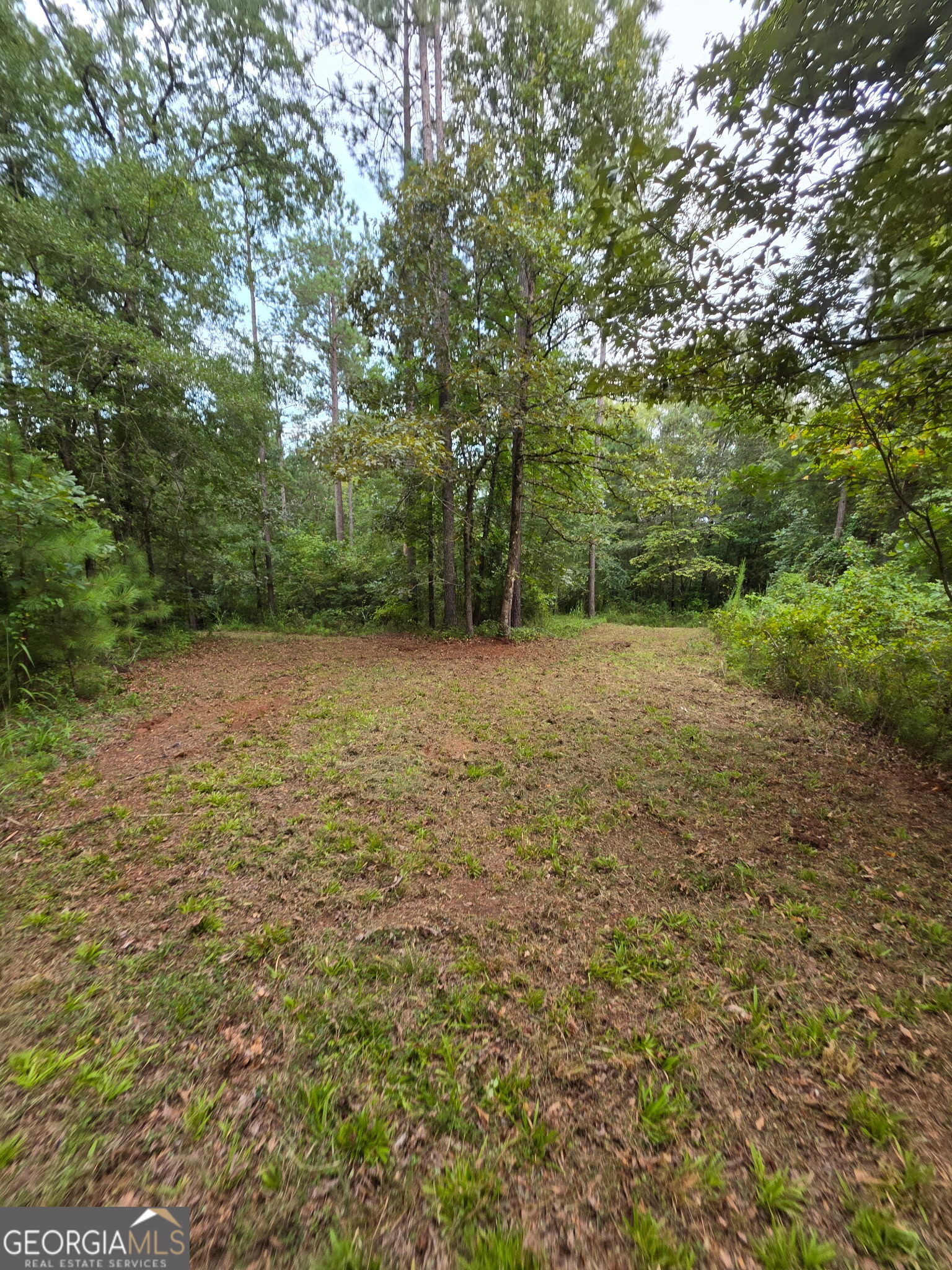 940 Newton Factory Bridge Road Covington, GA 30014 - Photo 15 of 58 a view of a field with trees in the background