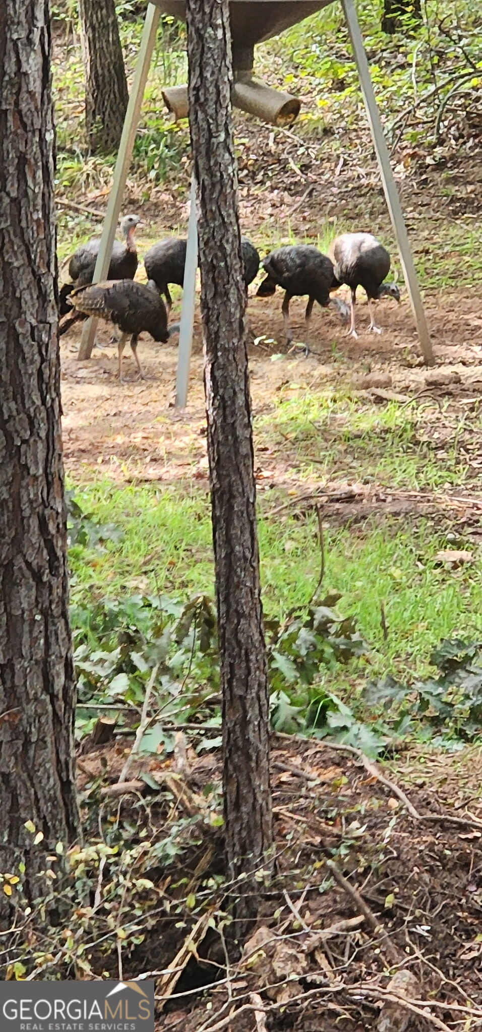 940 Newton Factory Bridge Road Covington, GA 30014 - Photo 16 of 58 a backyard of a house with lots of green space
