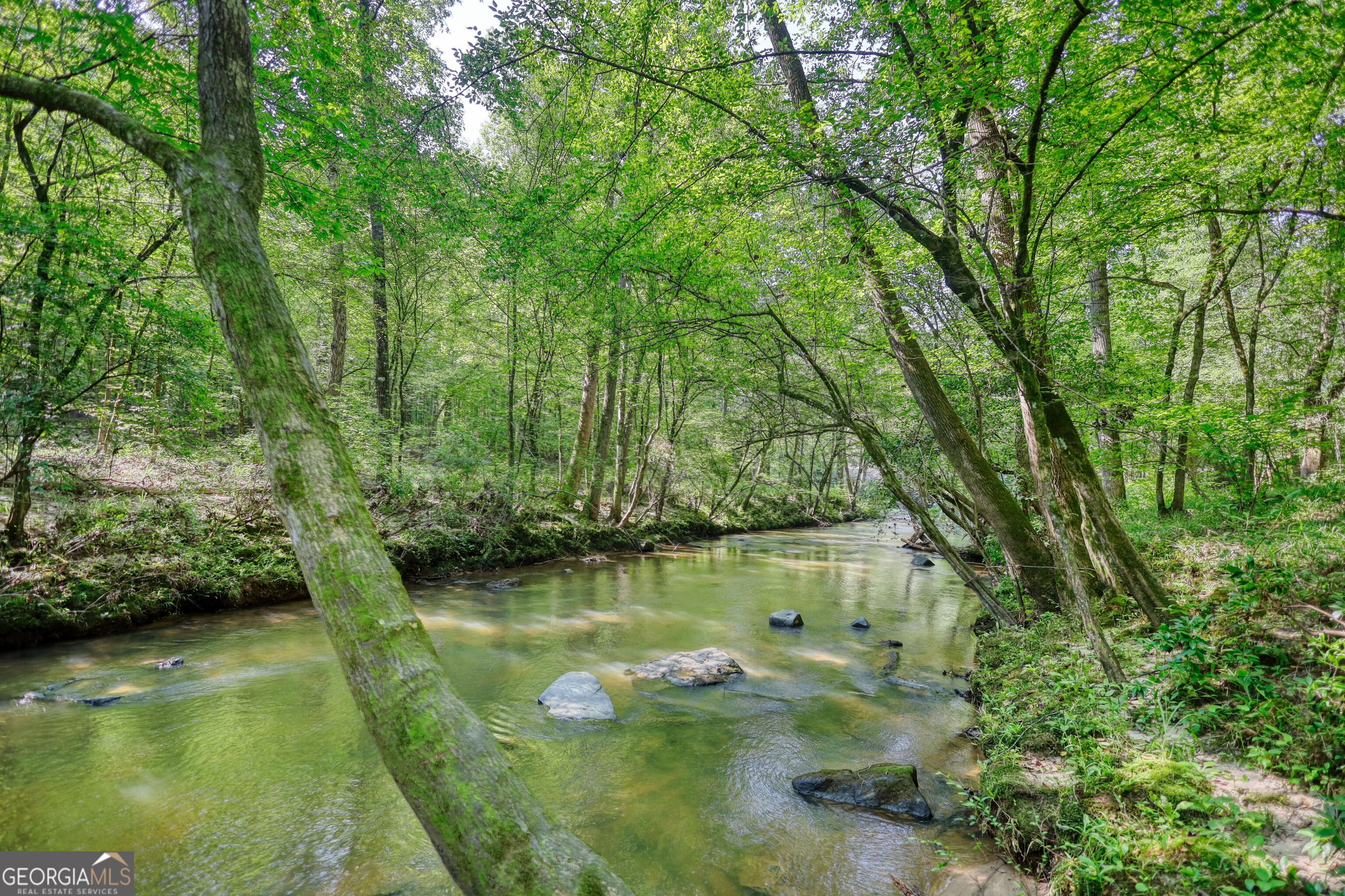 940 Newton Factory Bridge Road Covington, GA 30014 - Photo 17 of 58 a view of a lake with houses