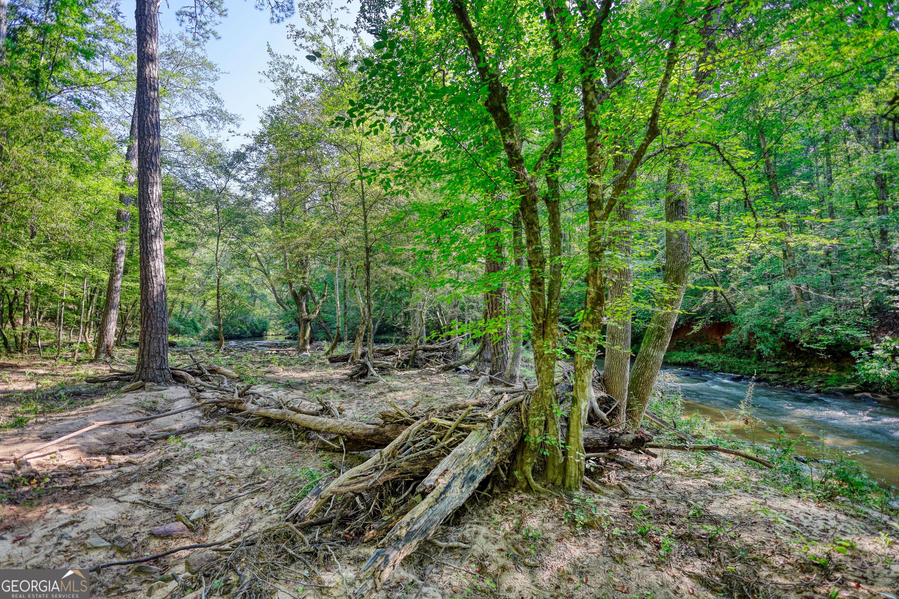 940 Newton Factory Bridge Road Covington, GA 30014 - Photo 18 of 58 a view of a forest filled with trees