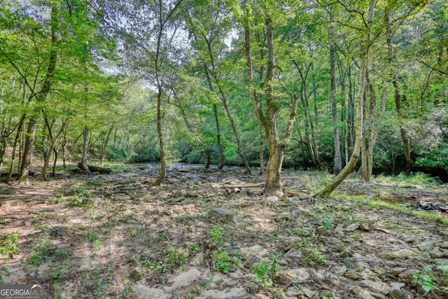 a view of outdoor space with trees all around