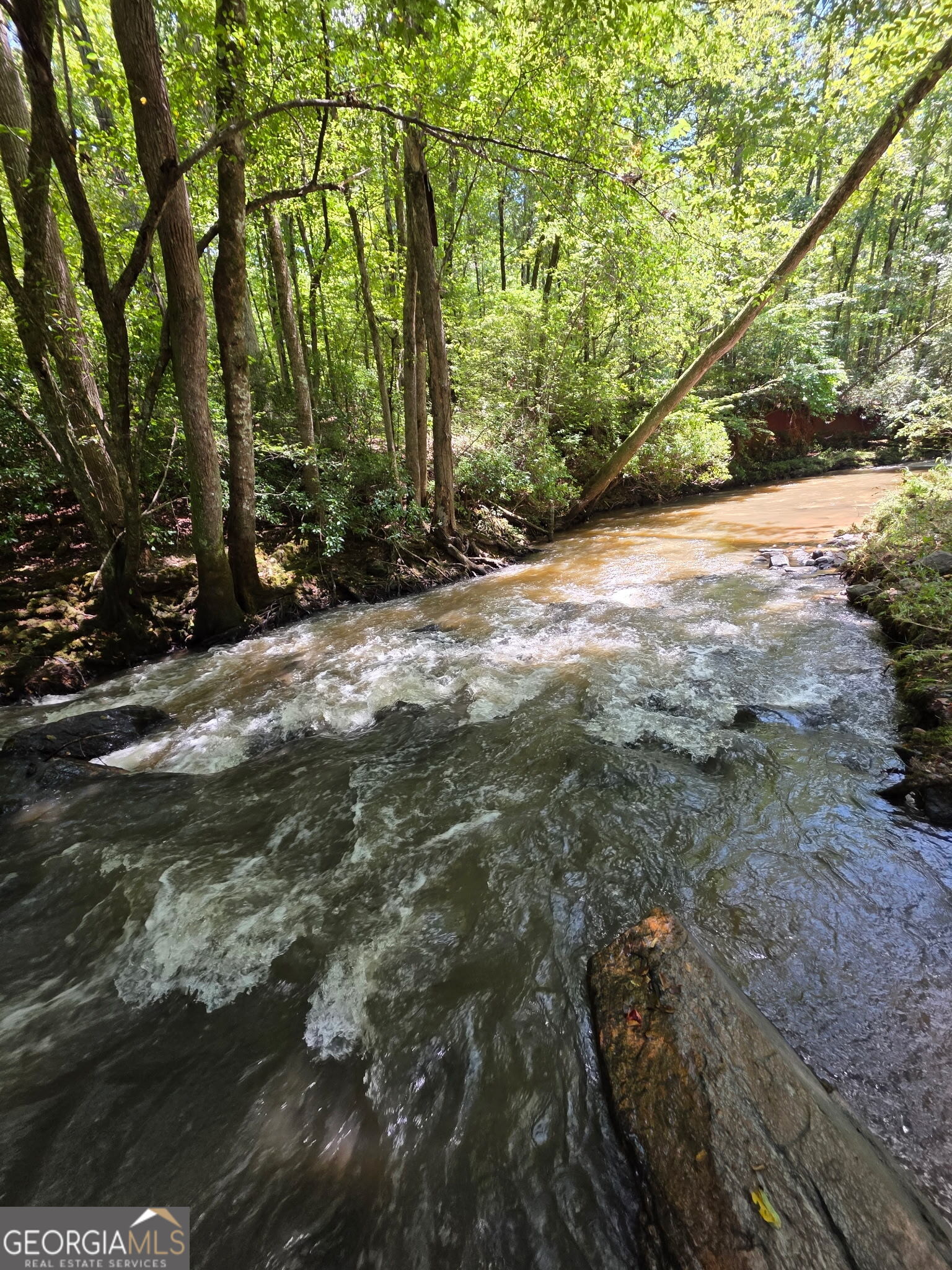 940 Newton Factory Bridge Road Covington, GA 30014 - Photo 20 of 58 a view of a yard with plants and trees