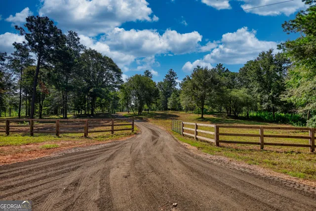 a view of a park with large trees