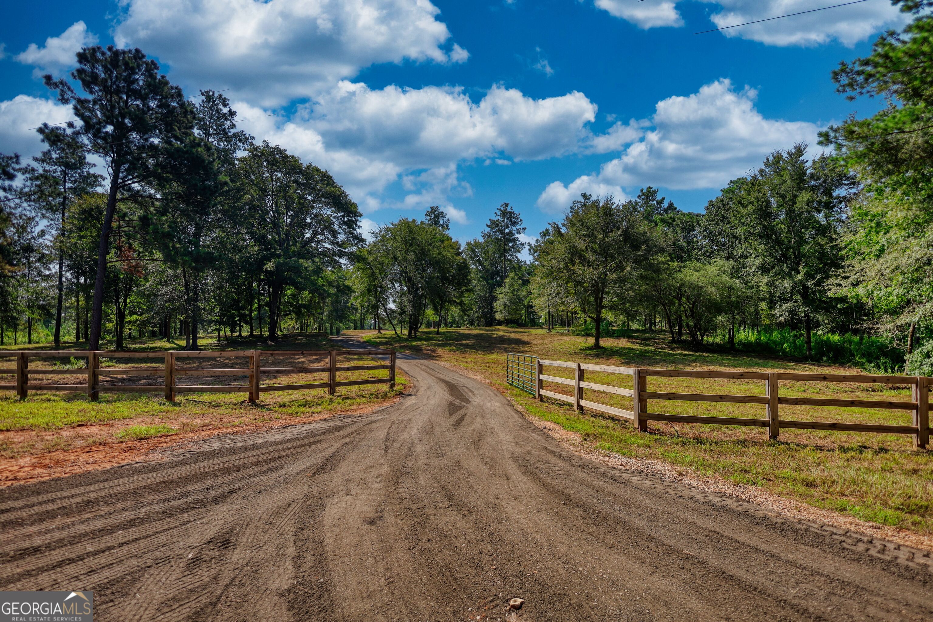940 Newton Factory Bridge Road Covington, GA 30014 - Photo 2 of 58 a view of a park with large trees