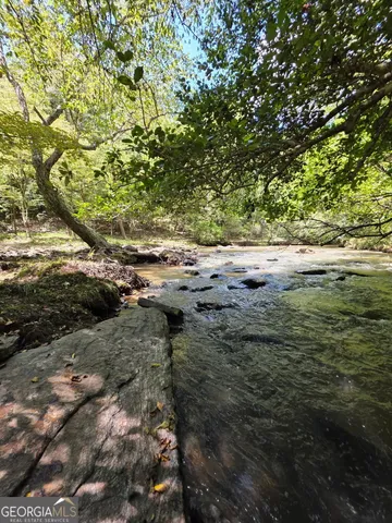 a view of ocean view with large tree