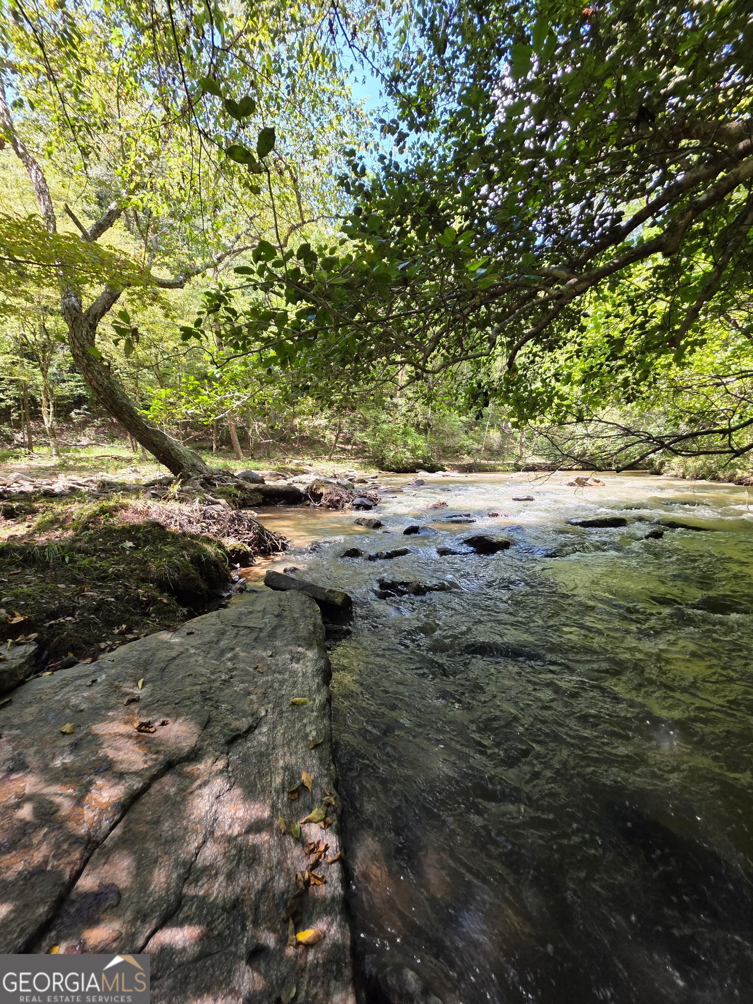 940 Newton Factory Bridge Road Covington, GA 30014 - Photo 21 of 58 a view of ocean view with large tree