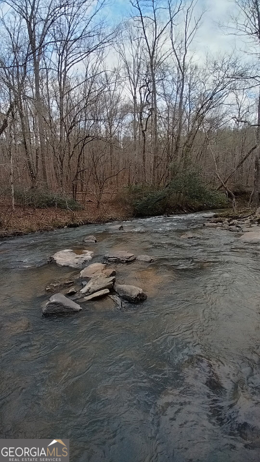 940 Newton Factory Bridge Road Covington, GA 30014 - Photo 22 of 58 a backyard of a house with lots of green space