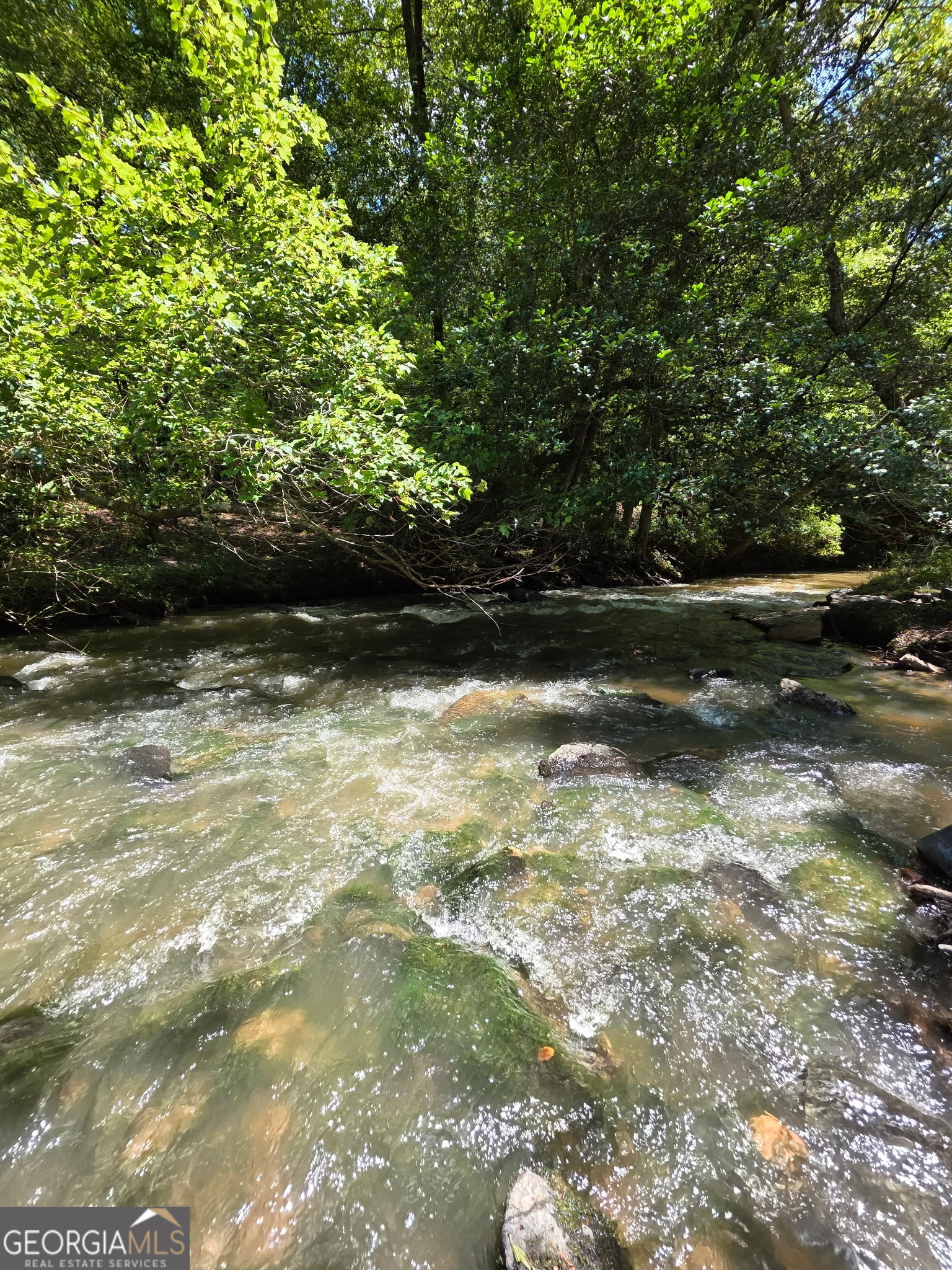 940 Newton Factory Bridge Road Covington, GA 30014 - Photo 23 of 58