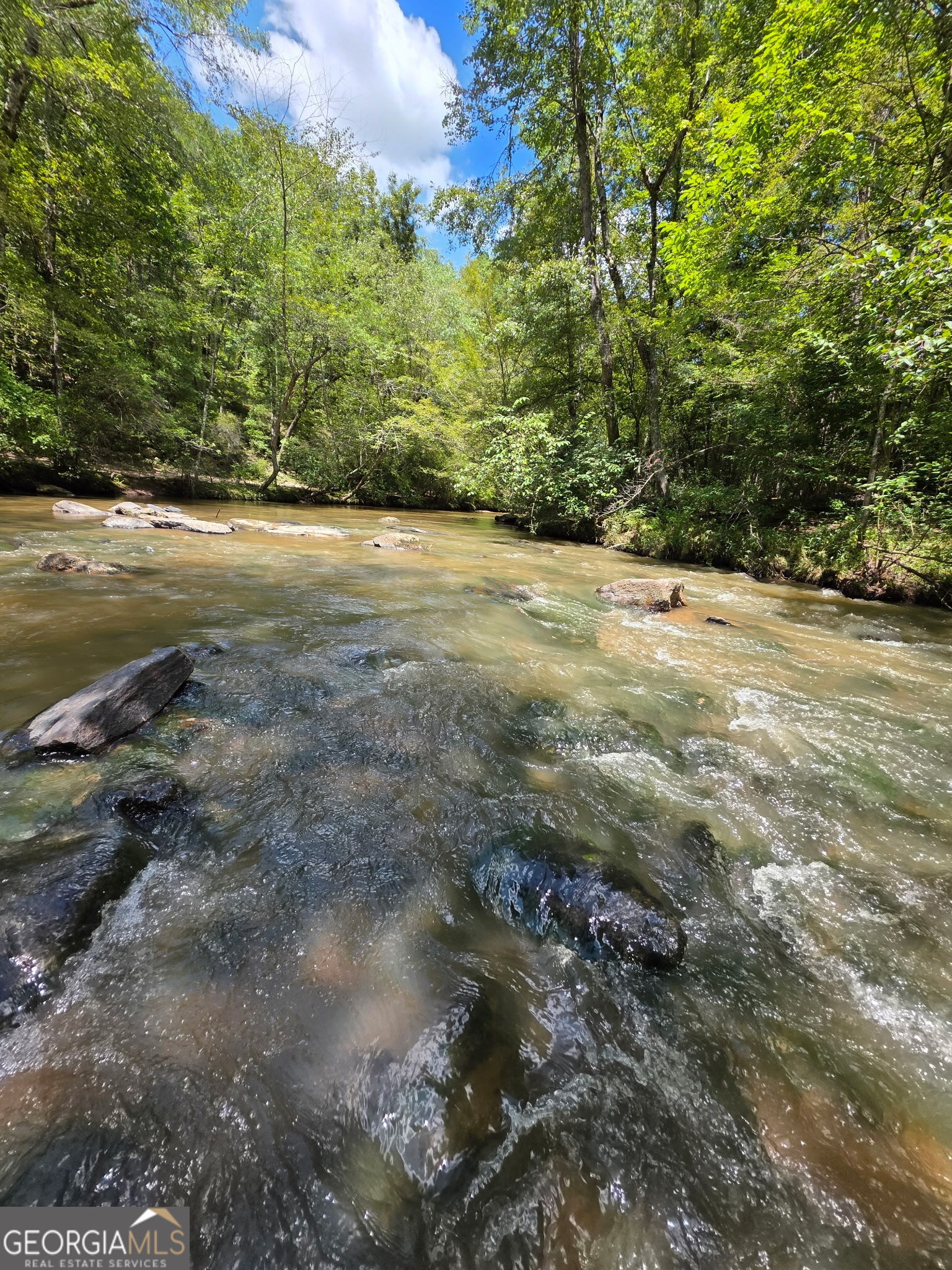 940 Newton Factory Bridge Road Covington, GA 30014 - Photo 24 of 58 a view of a yard with a tree
