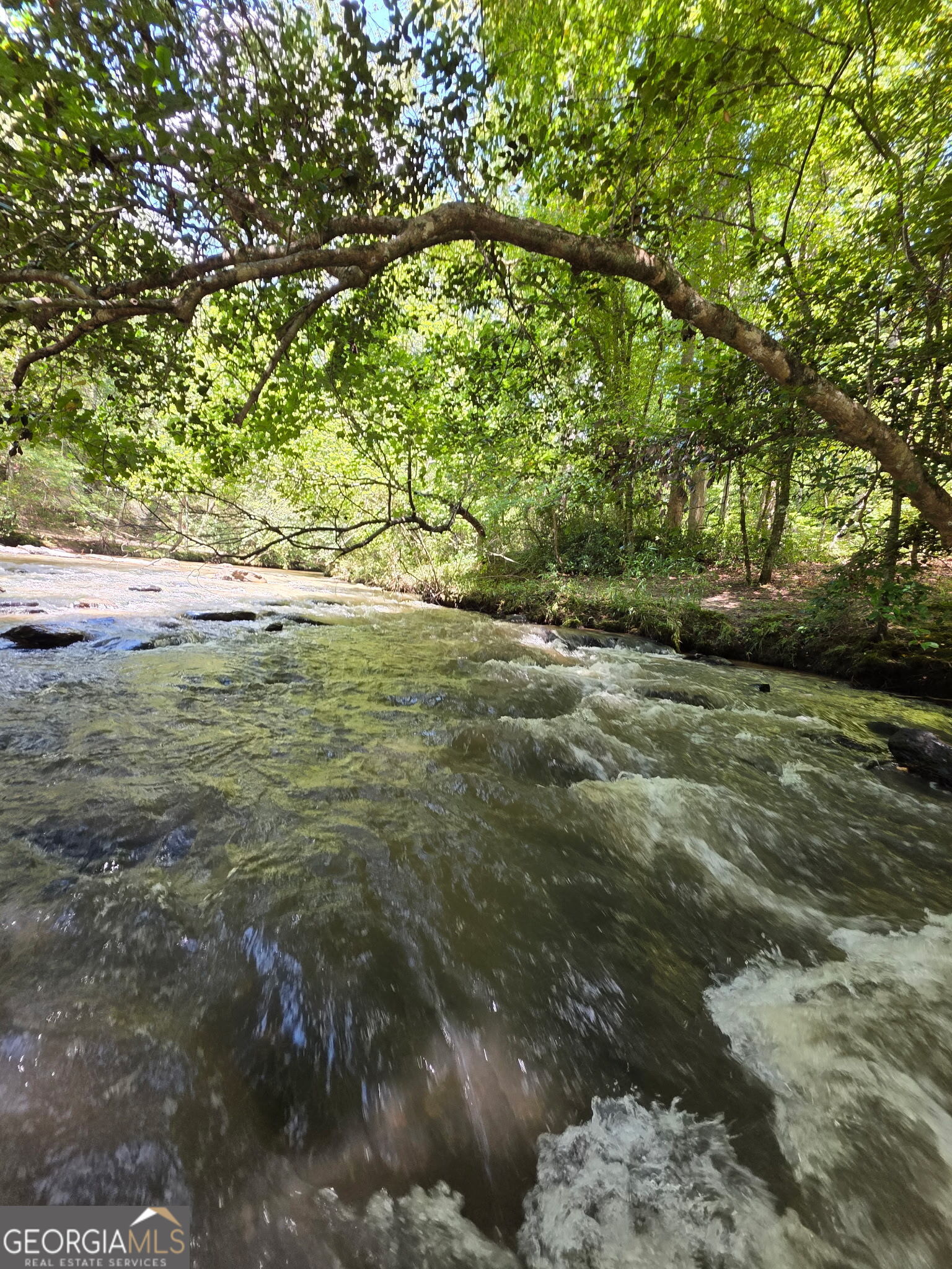 940 Newton Factory Bridge Road Covington, GA 30014 - Photo 25 of 58 a backyard of a house with lots of green space