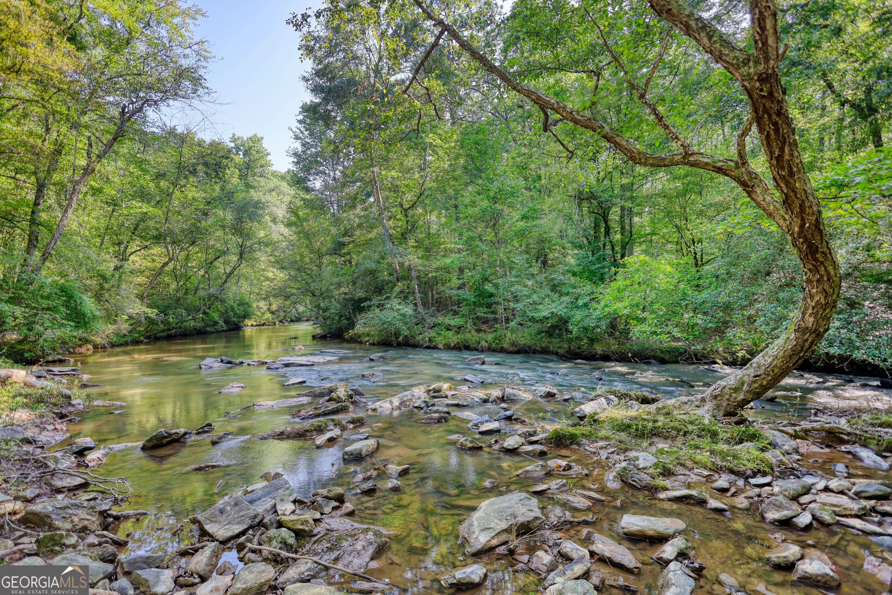 940 Newton Factory Bridge Road Covington, GA 30014 - Photo 27 of 58 a view of a water pond with green space