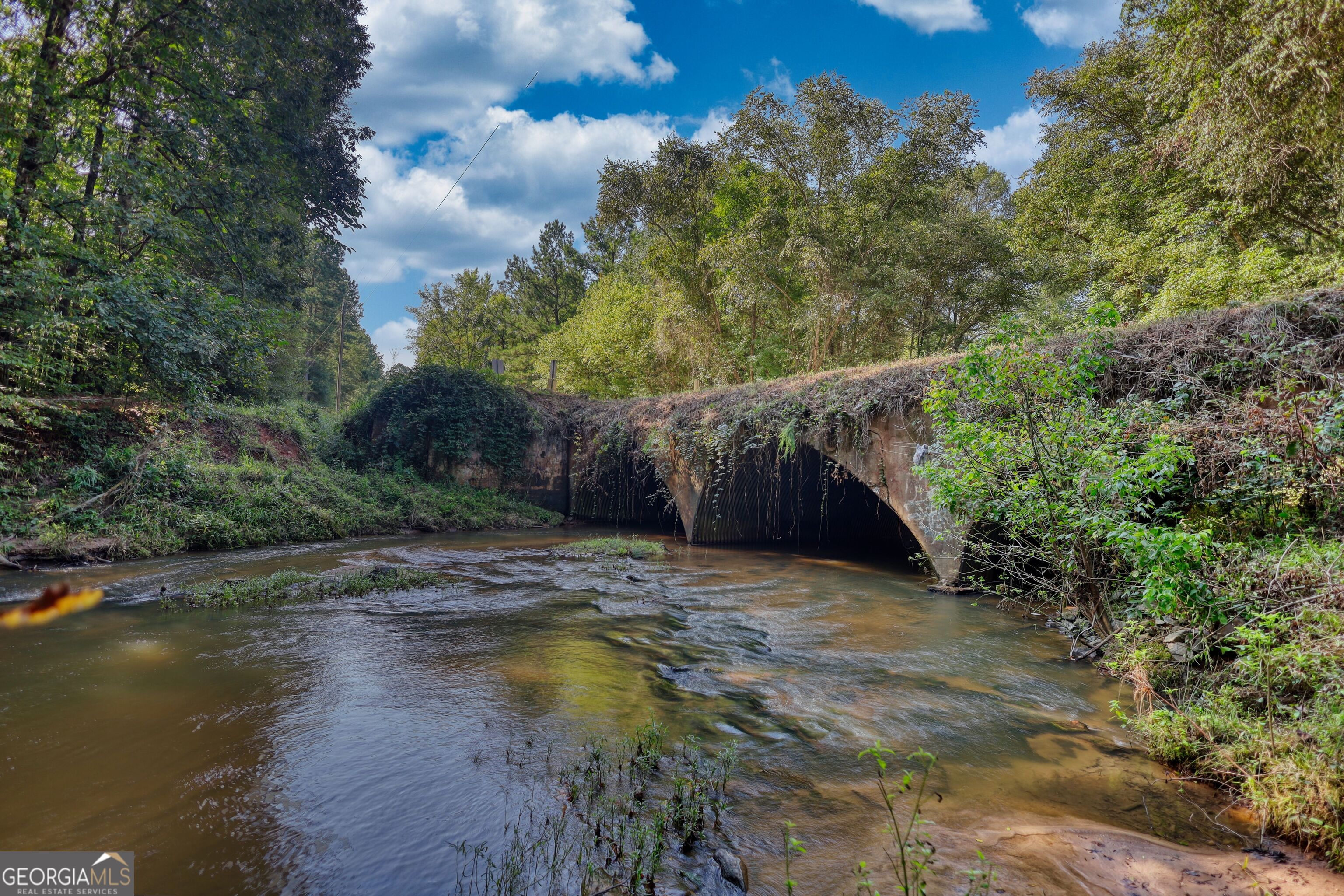 940 Newton Factory Bridge Road Covington, GA 30014 - Photo 28 of 58 a view of swimming pool with a yard