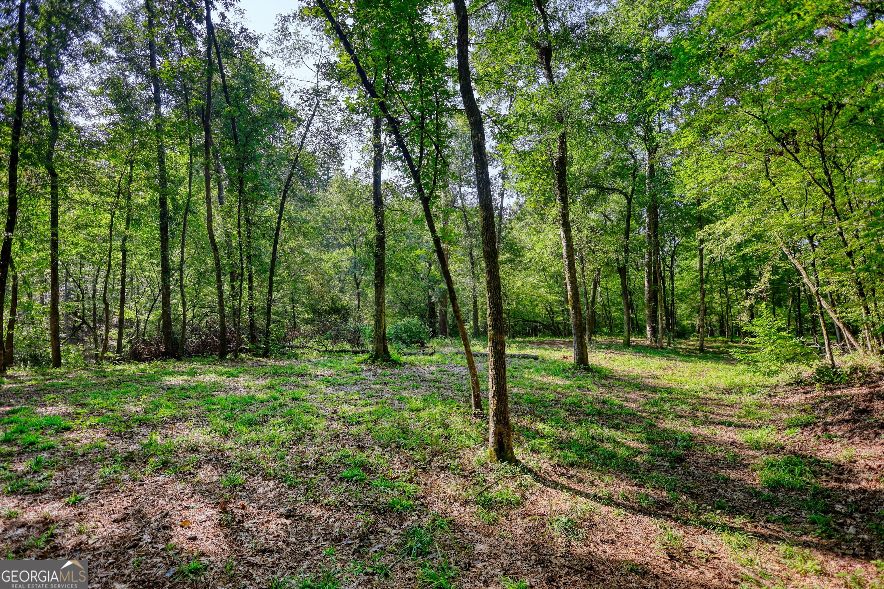 940 Newton Factory Bridge Road Covington, GA 30014 - Photo 30 of 58 a backyard of a house with lots of green space