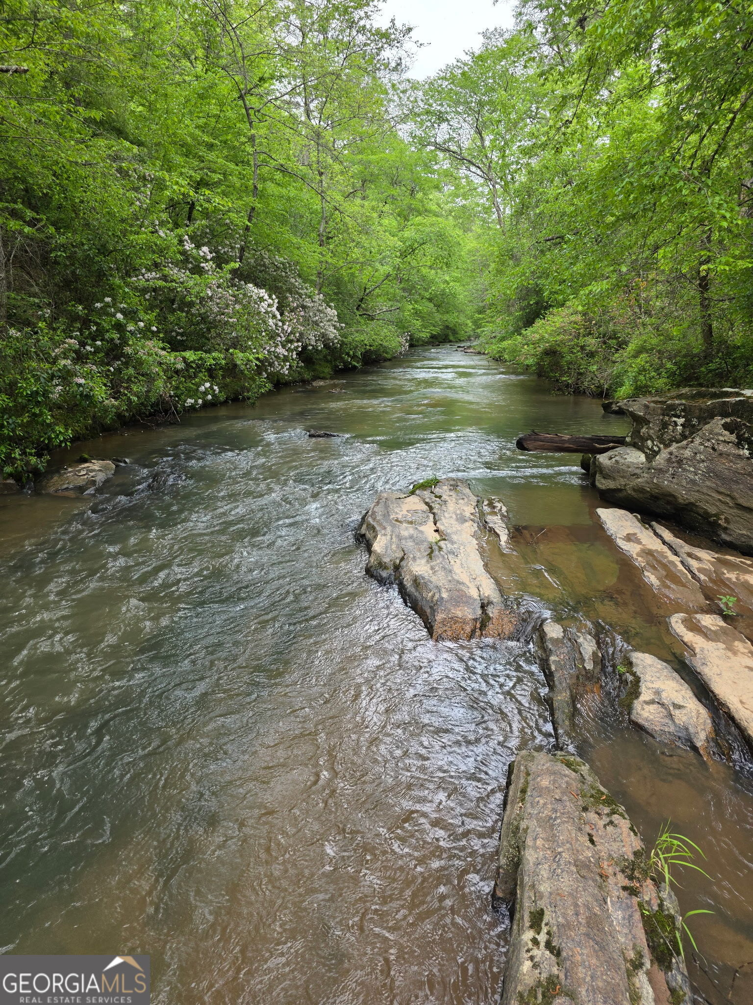 940 Newton Factory Bridge Road Covington, GA 30014 - Photo 3 of 58 a view of a lake with beach