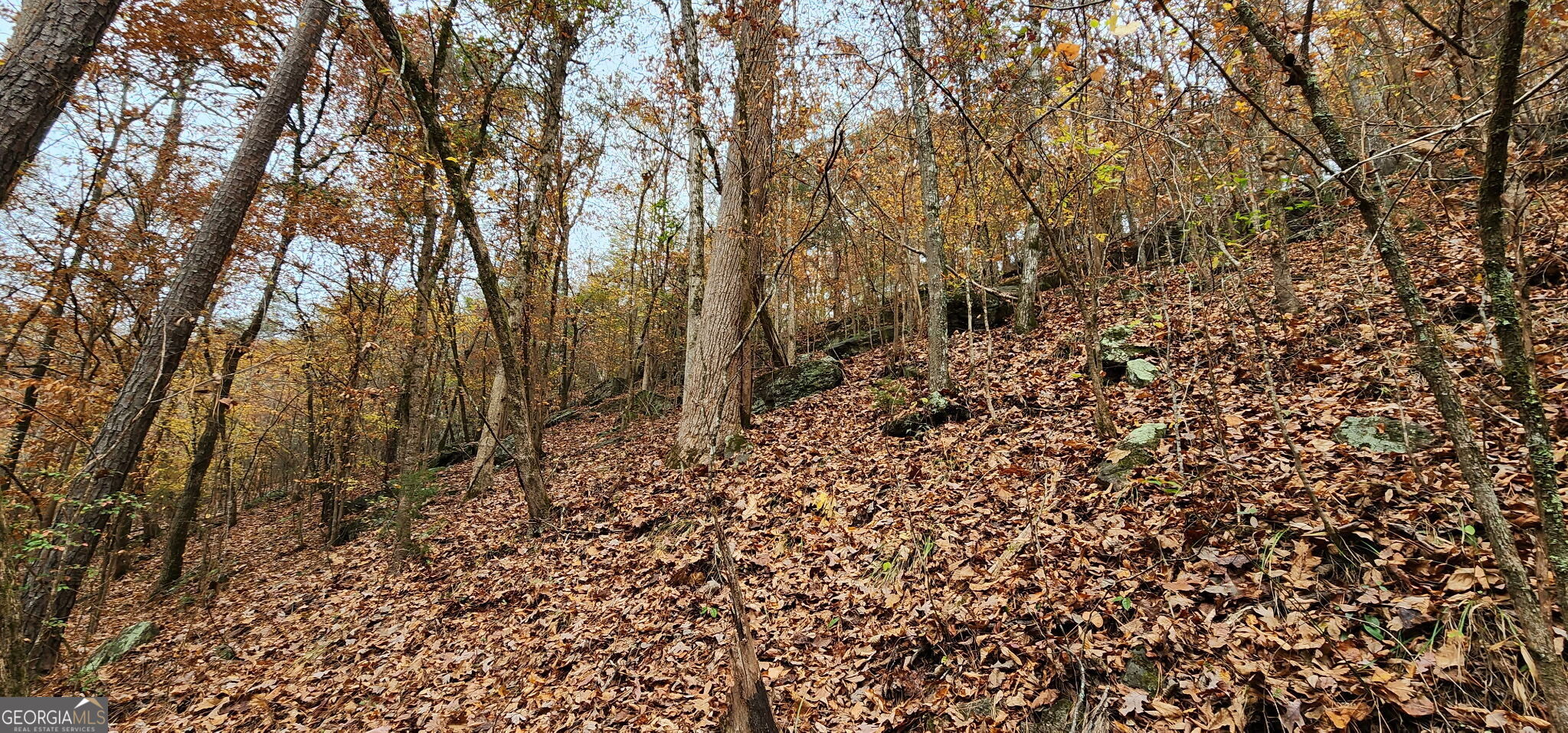 940 Newton Factory Bridge Road Covington, GA 30014 - Photo 31 of 58 a view of a yard