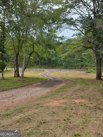 a view of a yard with plants and trees
