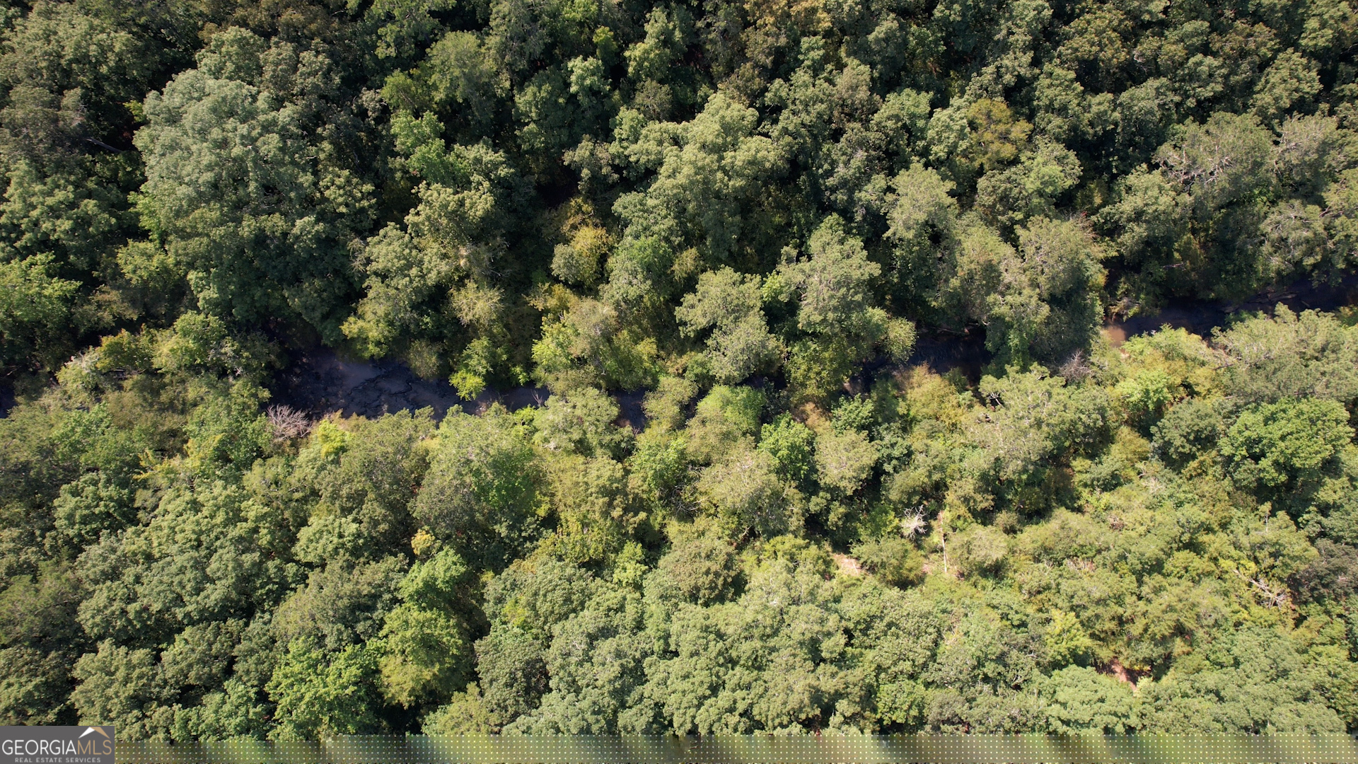 940 Newton Factory Bridge Road Covington, GA 30014 - Photo 40 of 58 a view of a forest with a tree