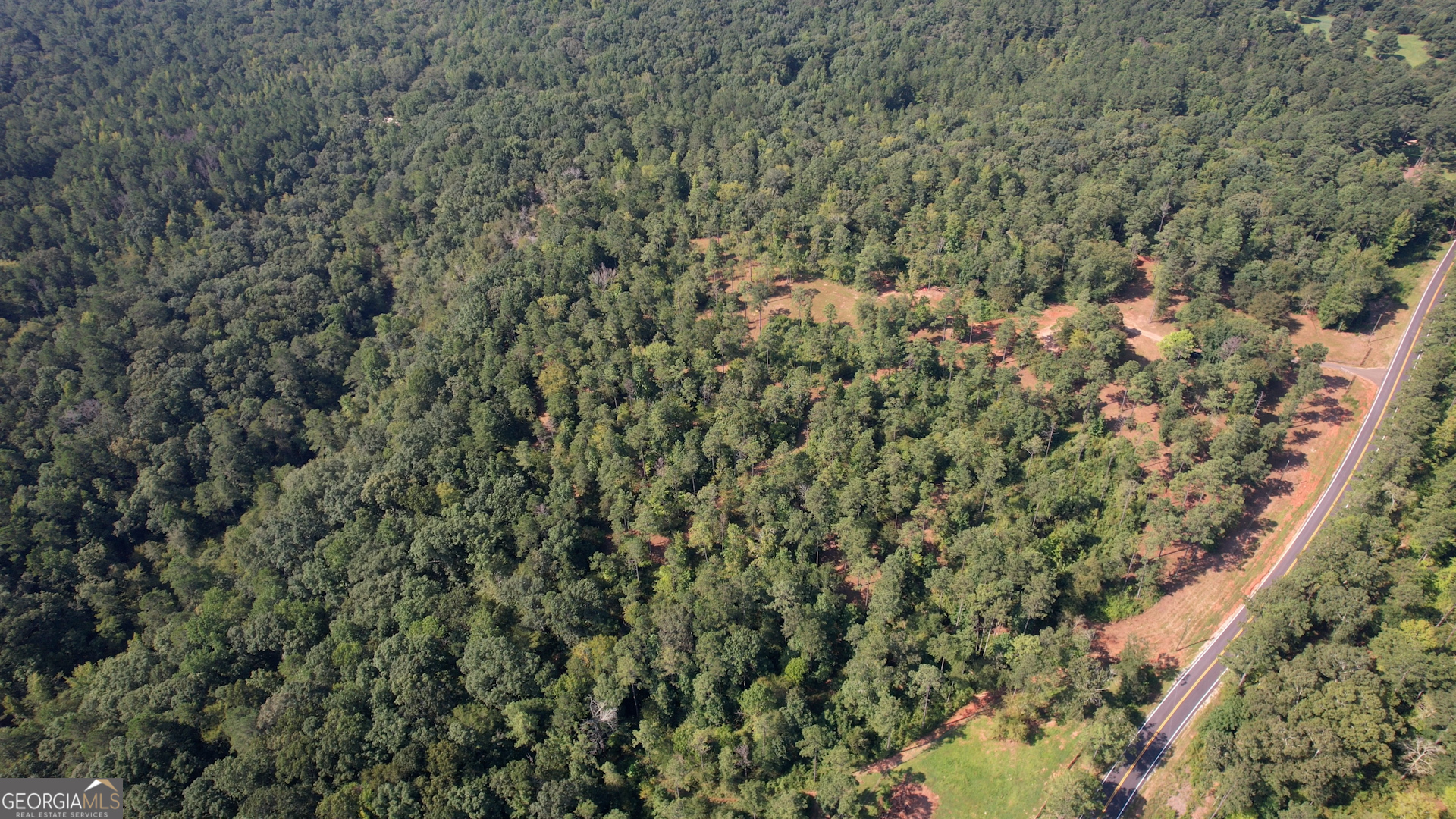 940 Newton Factory Bridge Road Covington, GA 30014 - Photo 41 of 58