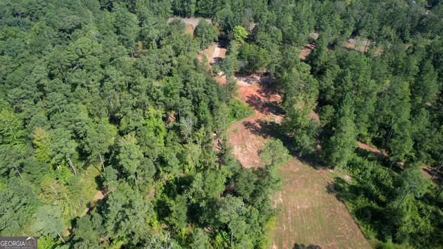 a view of a yard in a yard