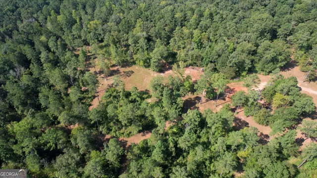 a view of a covered with lush green forest